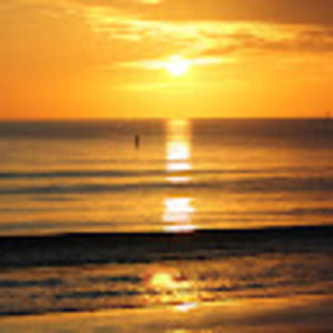 Meet your Posher, Faisal